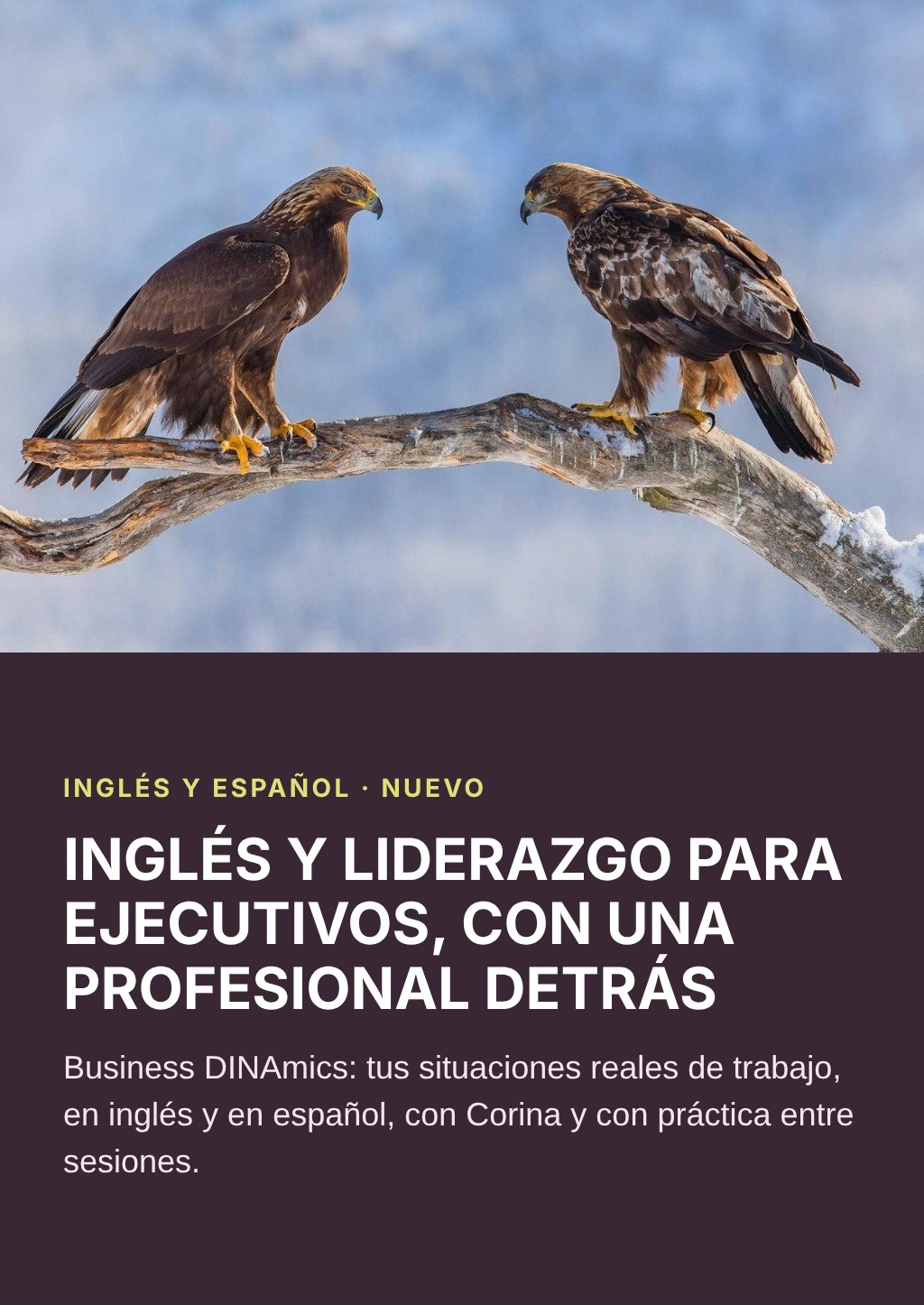 slider-business-dinamics-movil