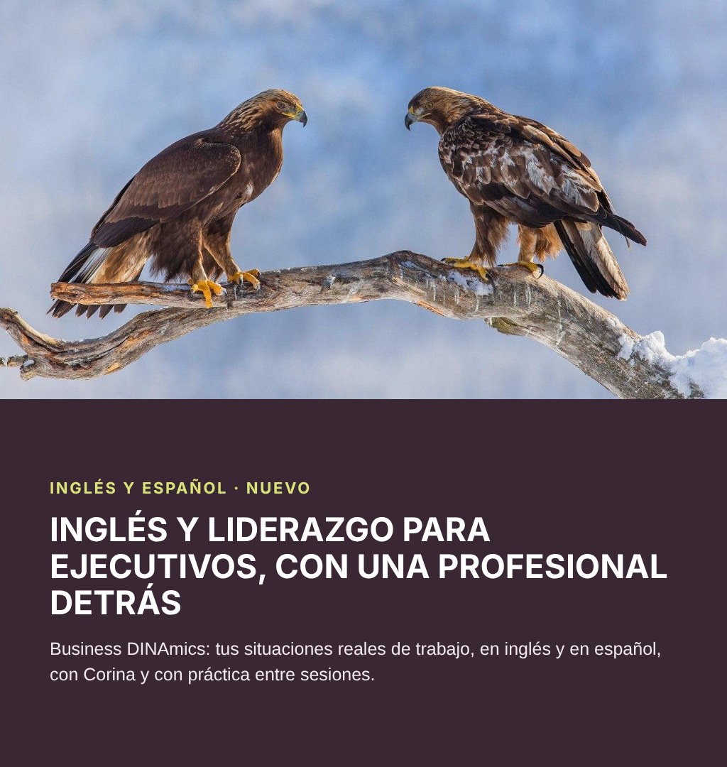 slider-business-dinamics-tablet